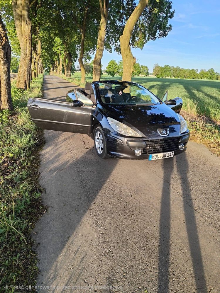 Peugeot 307 2.0 2007