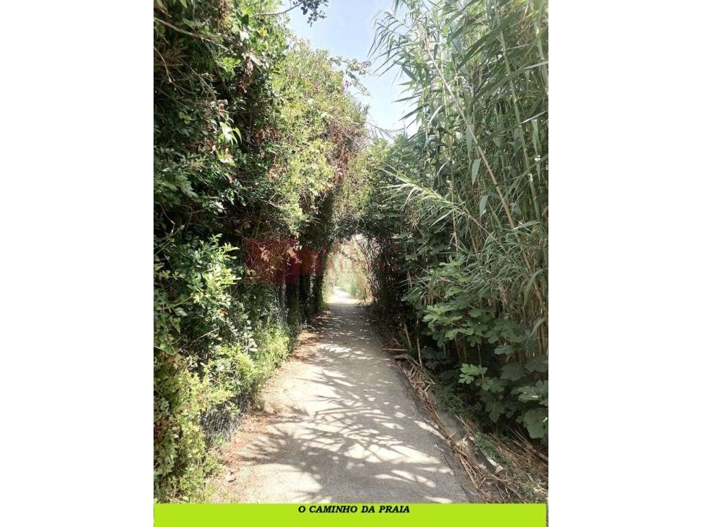 ERICEIRA -S.LOURENÇO - T2 Duplex em cima da praia - Vista dos quart...-24