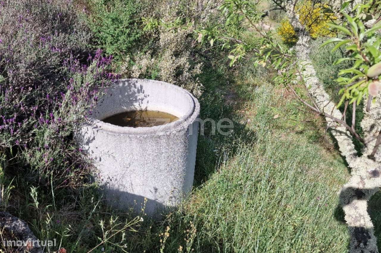VENDA DE DOIS PRÉDIOS RÚSTICOS – Pegarinhos , Alijo - Grande imagem: 4/30