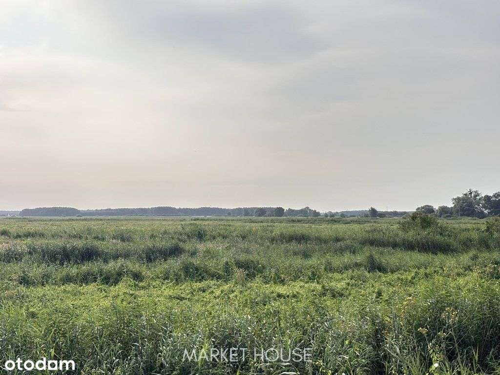 Działka rolna pod Krus-2