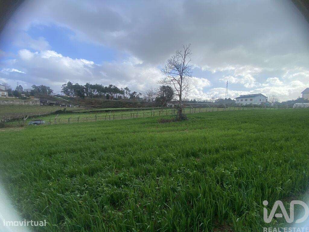 Terreno em Monção e Troviscoso-3