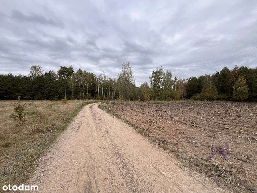 Działka, 2 500 m², Sosnowo - Pełny obrazek: 4/5