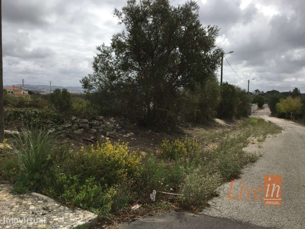 Terreno rústico com 3360m2 na Terrugem - Grande imagem: 5/6