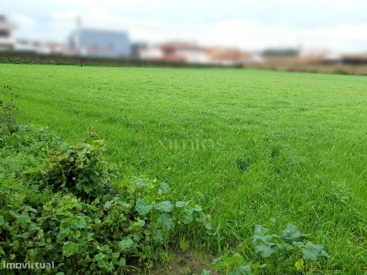 Terreno para construção, em Touguinha - Grande imagem: 3/5