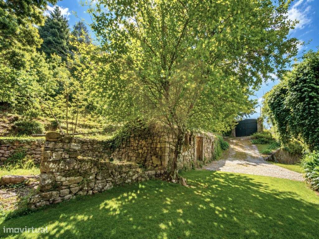 Propriedade com Casa Antiga, Piscina e Terreno Amplo - Cepões - Pon...-7