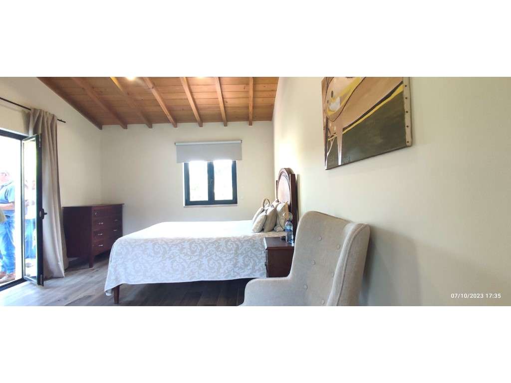 Quinta com duas moradias, anexos, diversas arvores de fruto, vinha ...-37