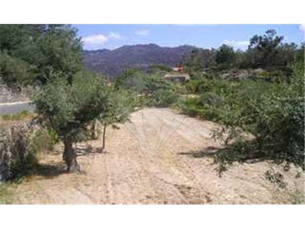 Quinta T0 para venda - Grande imagem: 3/18