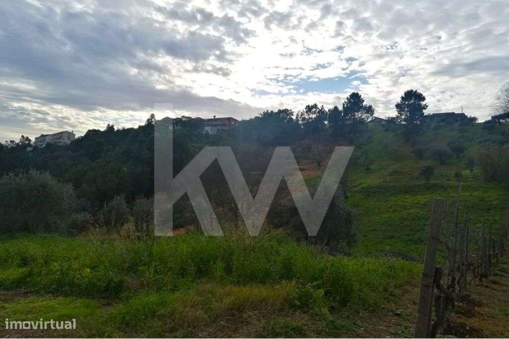 Terreno Urbanizável com 2340m2 - Grande imagem: 4/12