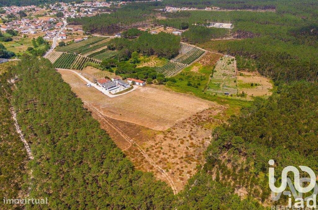 Quinta T5 em Coz, Alpedriz e Montes de 436 m2 - Grande imagem: 5/40