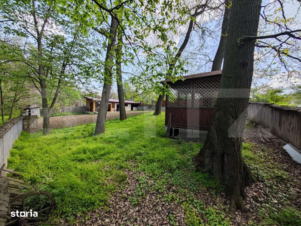 Padure in Barnova 1800 mp + 600 mp teren  pentru casa - Imagine principală: 4/4