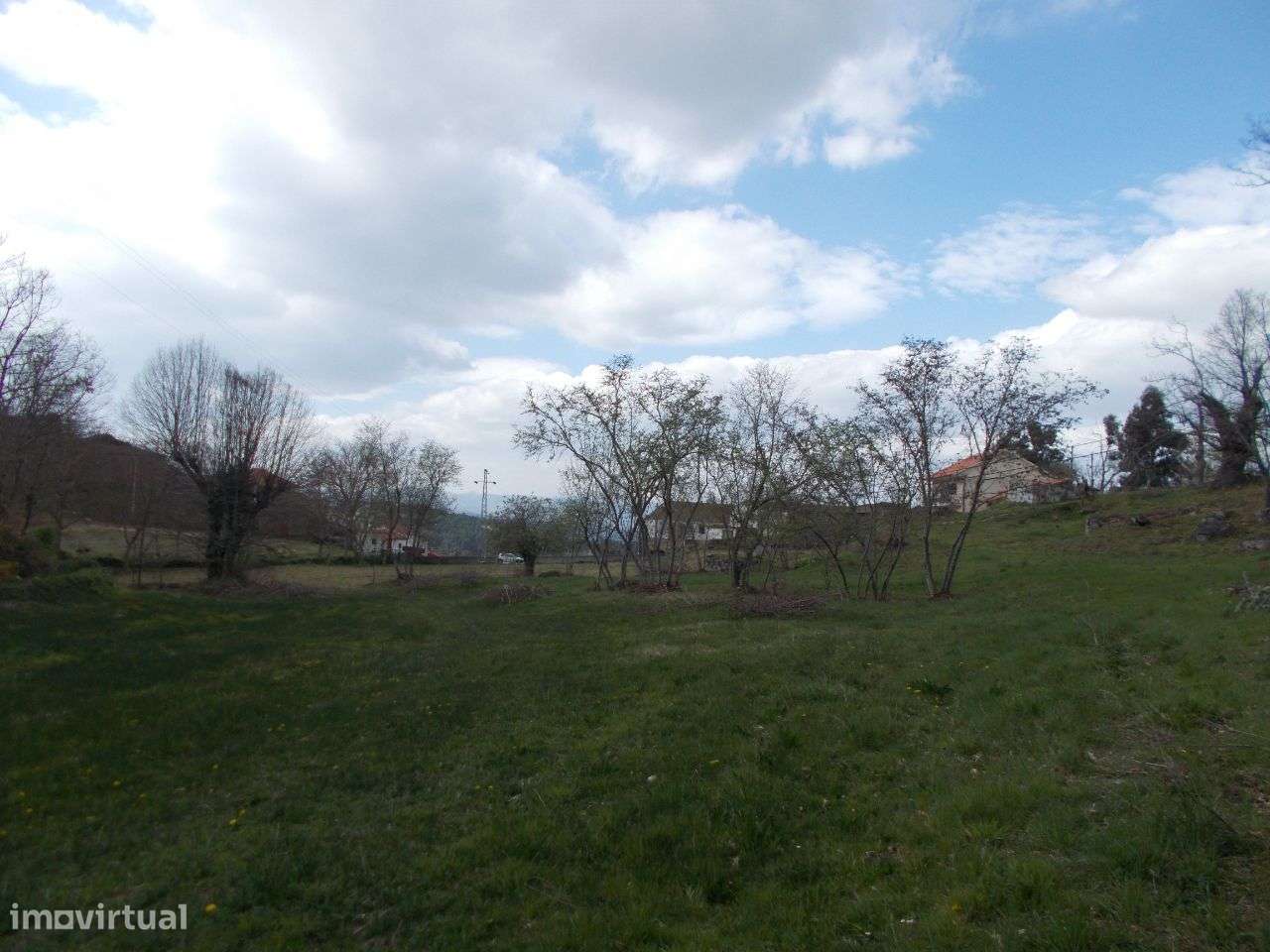 Moradia e Terreno 13442 m2 Pereiro Agrações-28