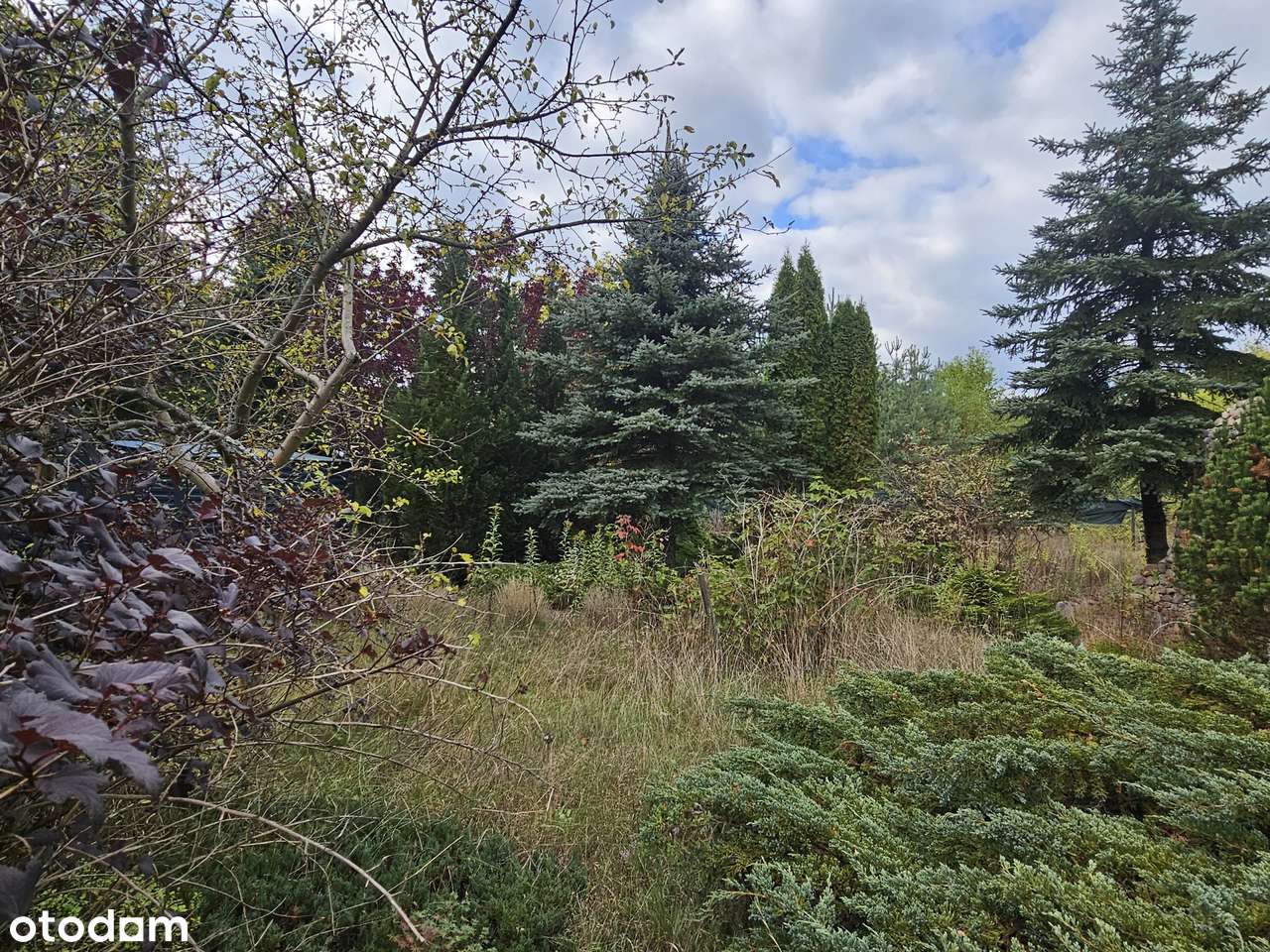 Kilka ładnych działek obok siebie (2 lokalizacje). Blisko Glinianki-8