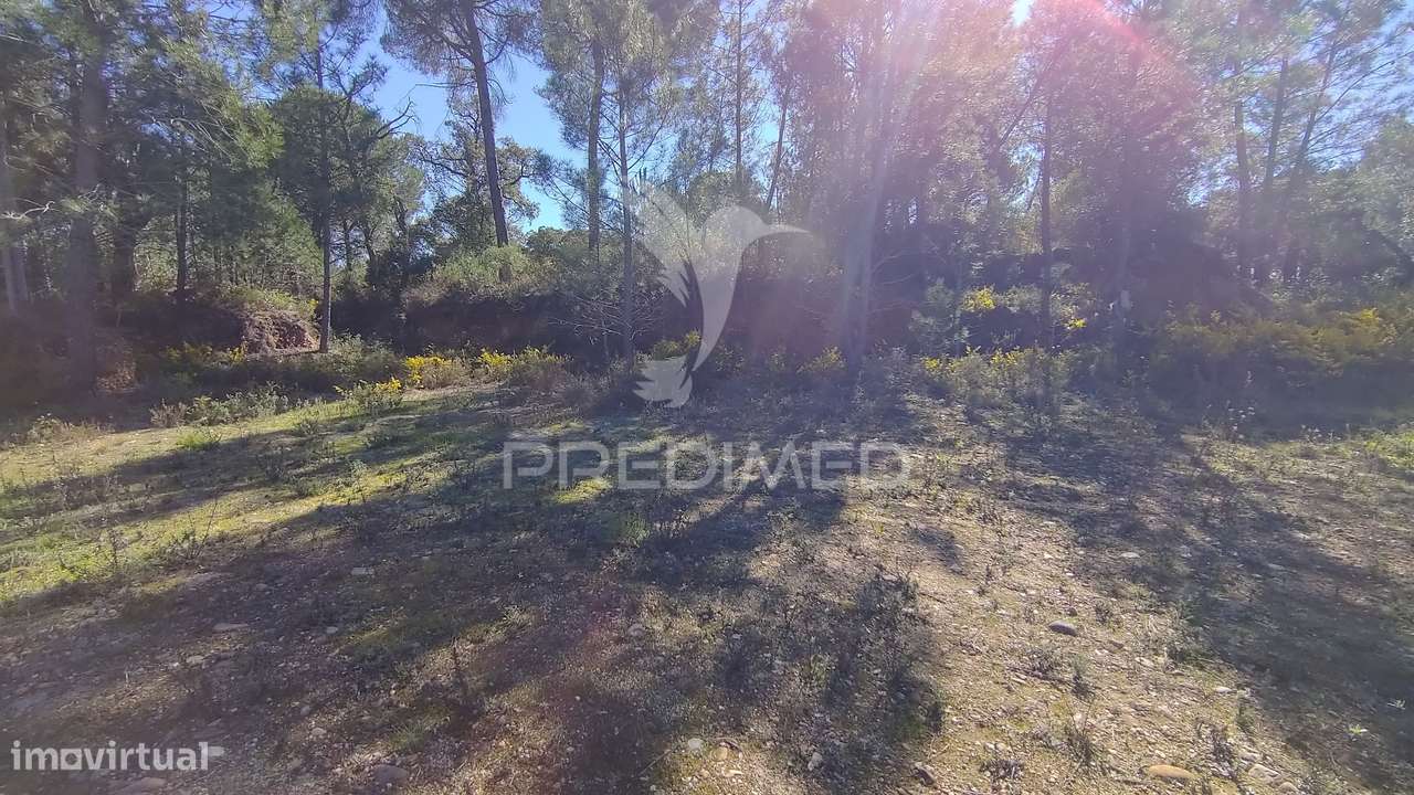 Terreno Rústico 1440 m2 - Grande imagem: 2/14