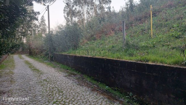 Terreno Rustico em Crestuma, Vila Nova de Gaia-1