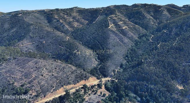 Terreno de Medronheiros para Venda na Serra de Monchique – O seu futur-4