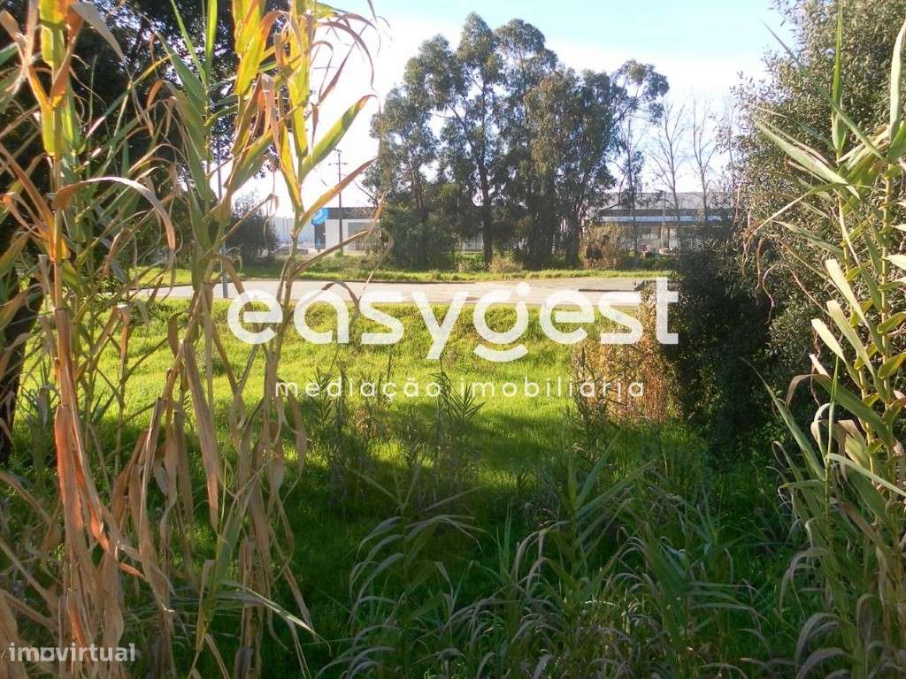 Lote de Terreno Urbano 253m2 para Moradia - Entroncamento - Grande imagem: 3/9