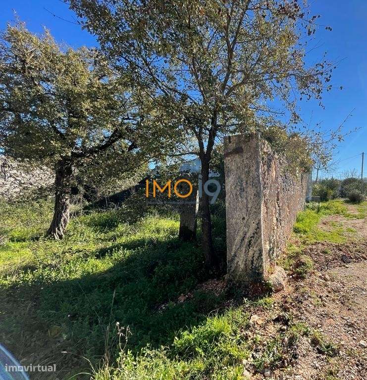 Ruina em terreno de 3600 m2 - Grande imagem: 4/16