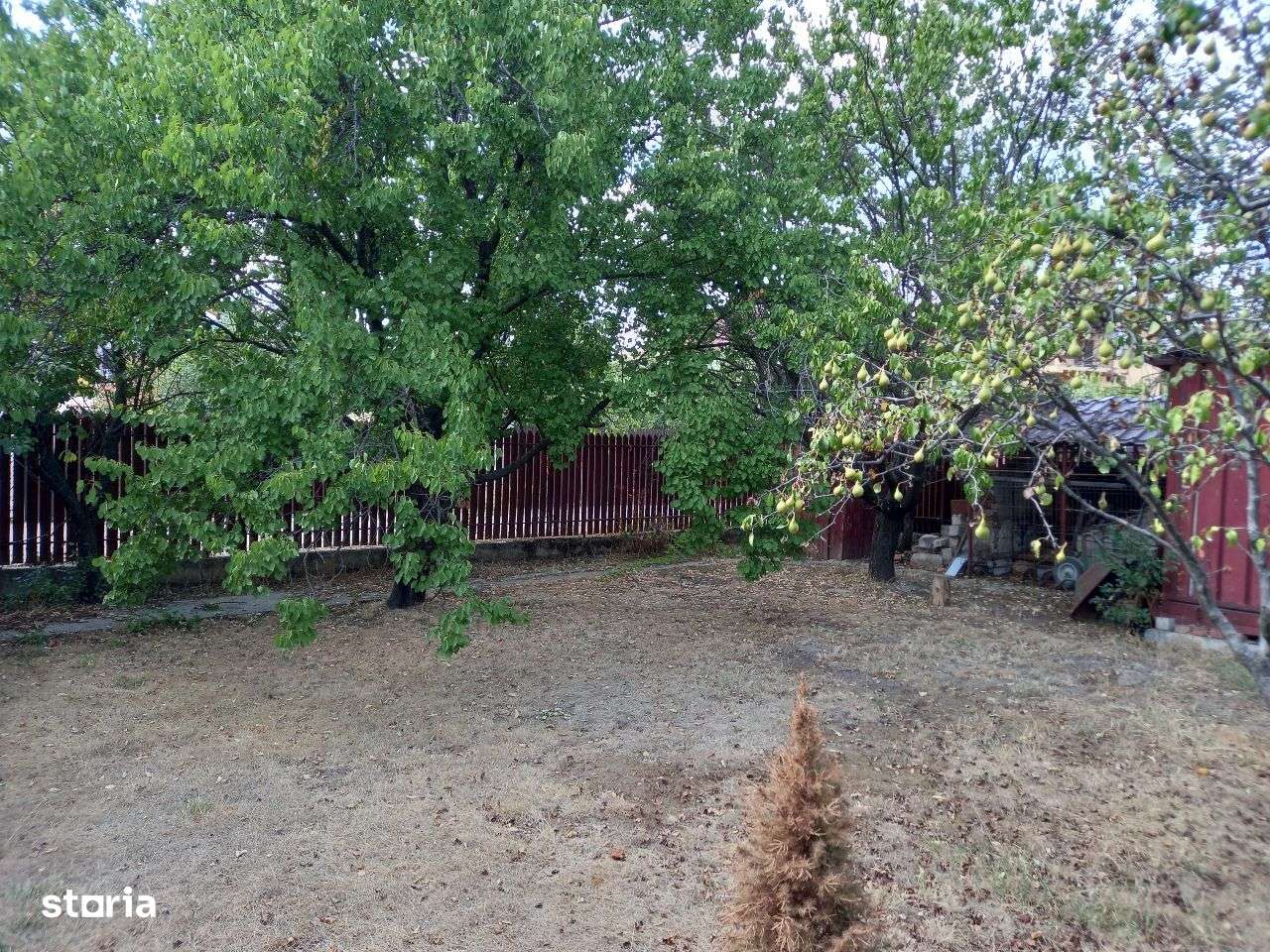 Vila S+P+M in zona Lapus,str Vidra,constructie 2009.-3