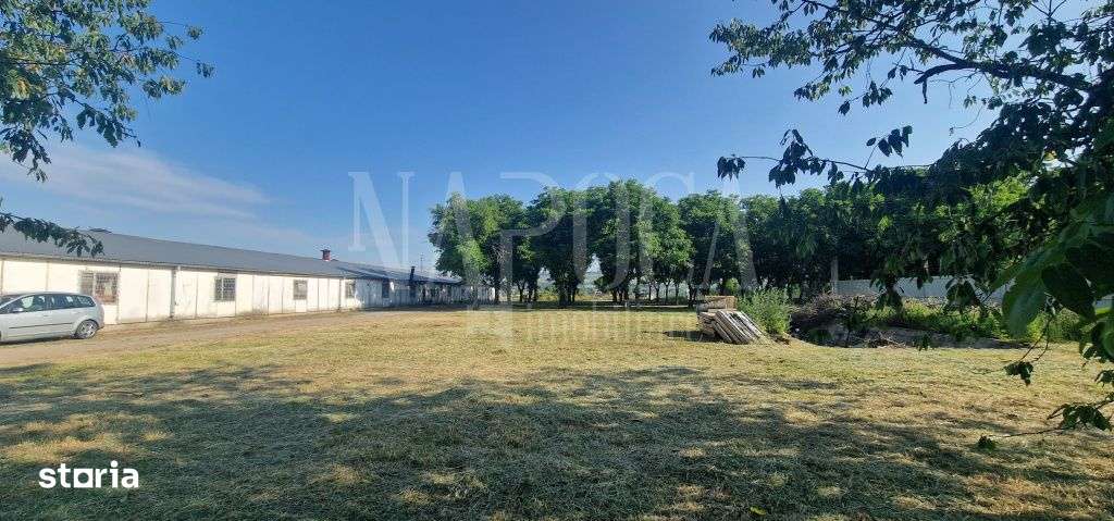 Spatiu industrial de vanzare in Gilau - Imagine principală: 5/10