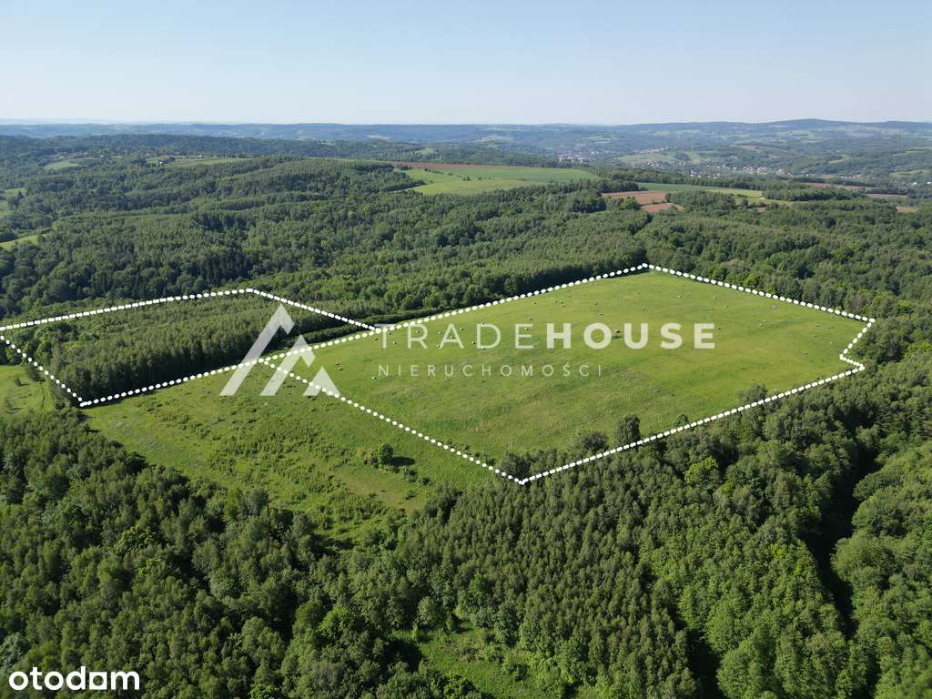 12,61 HA NIEOGRANICZONYCH  MOŻLIWOŚCI-3