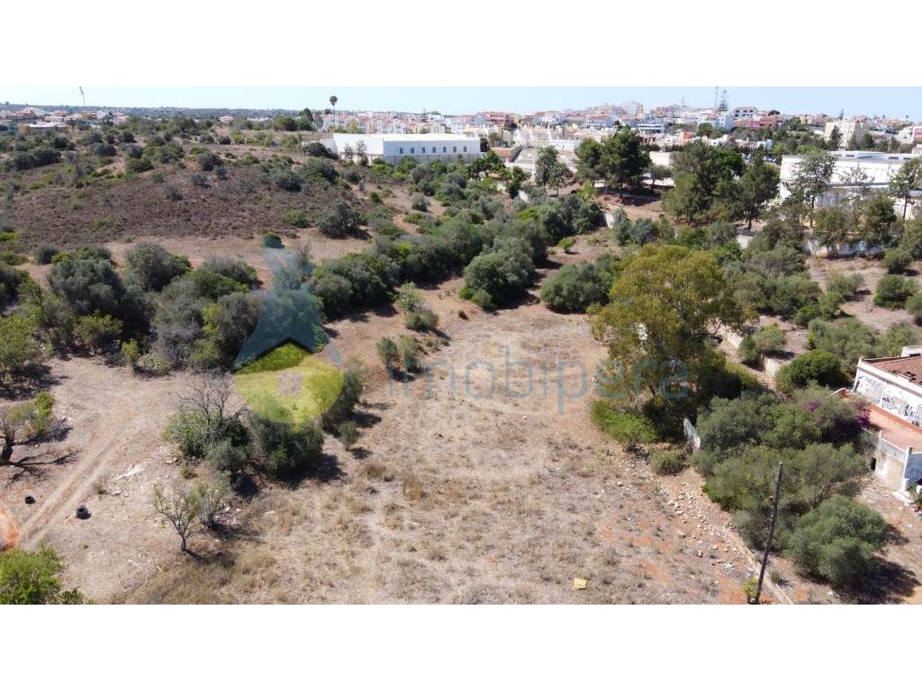 Terreno urbano e agrícola para projeto de moradias ou apartamentos ... - Grande imagem: 4/11