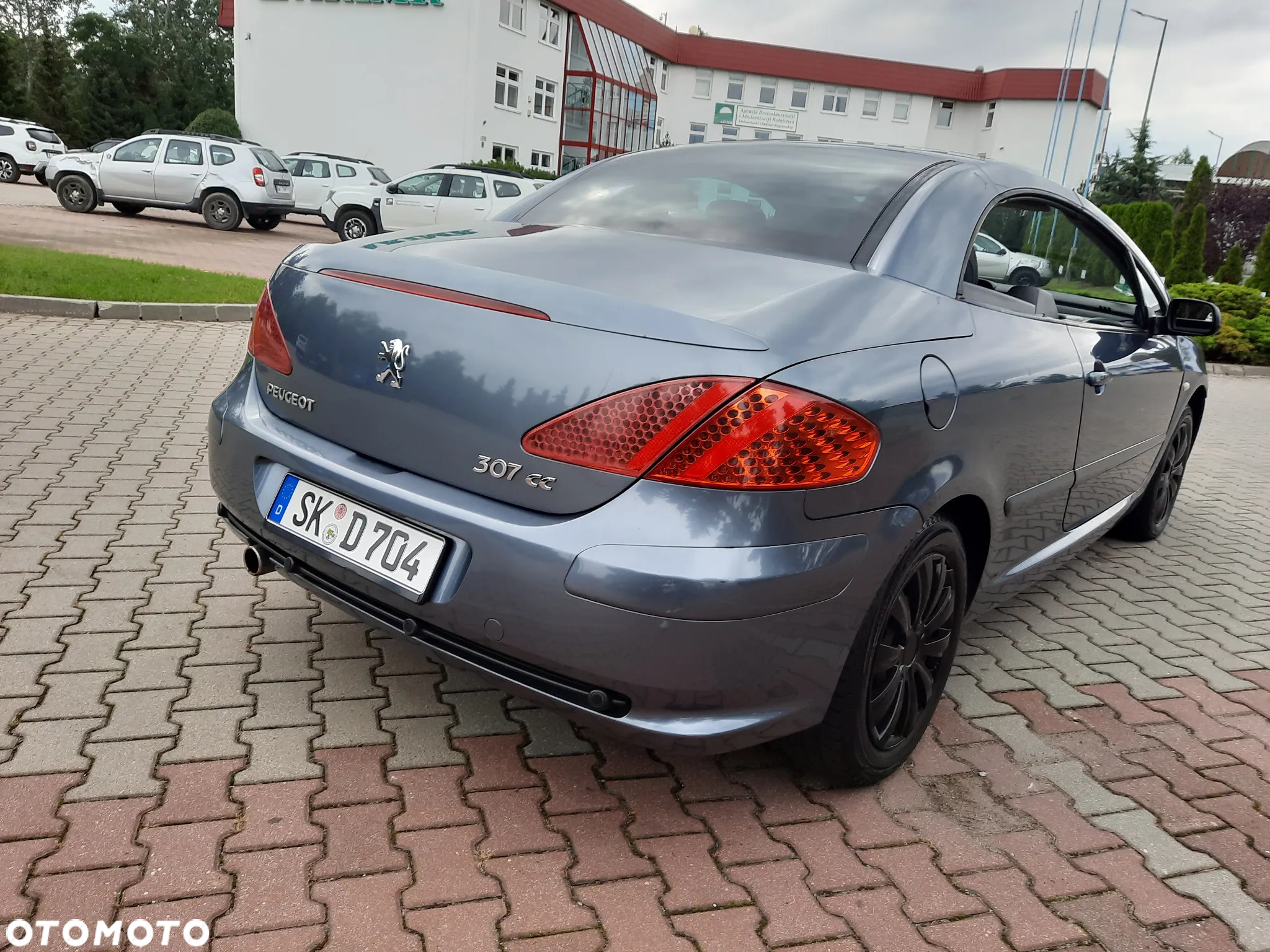 Peugeot 307 CC 2.0 - 14