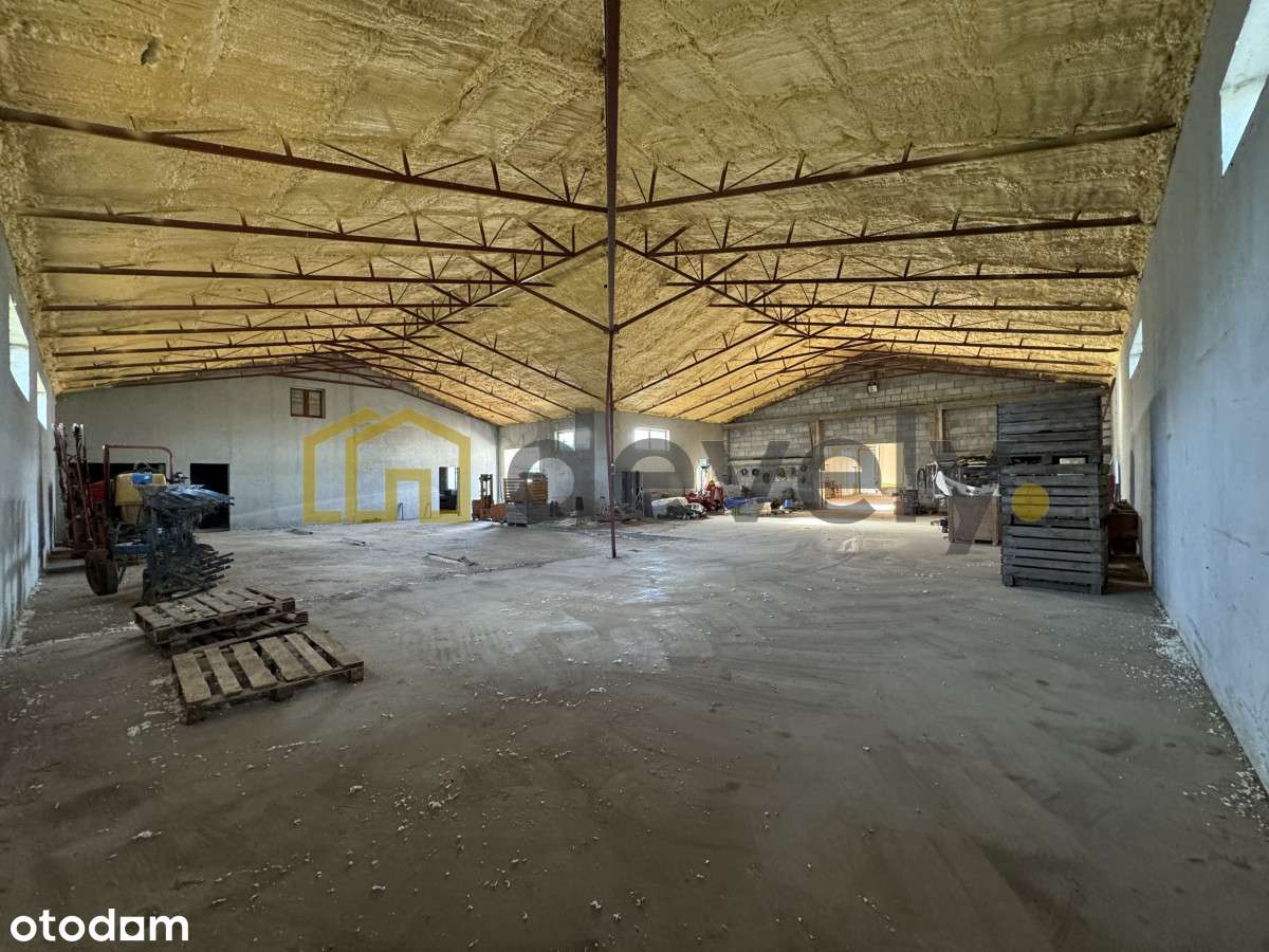 Magazyn\hala produkcyjna z chłodnią do wynajęcia - Pełny obrazek: 4/5