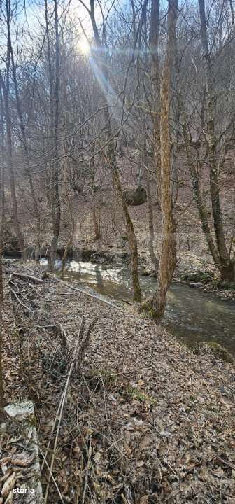 Casa in inima naturii, 140 mp  –  la doar 15 minute de Hunedoara - Imagine principală: 5/19