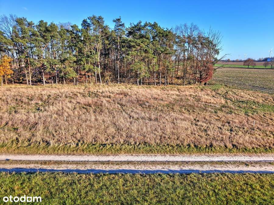 Działka budowlana przy lesie - Margonin-11