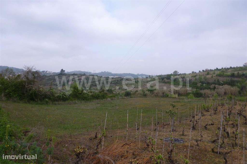 Terreno, Coimbra, Coimbra - Grande imagem: 2/2