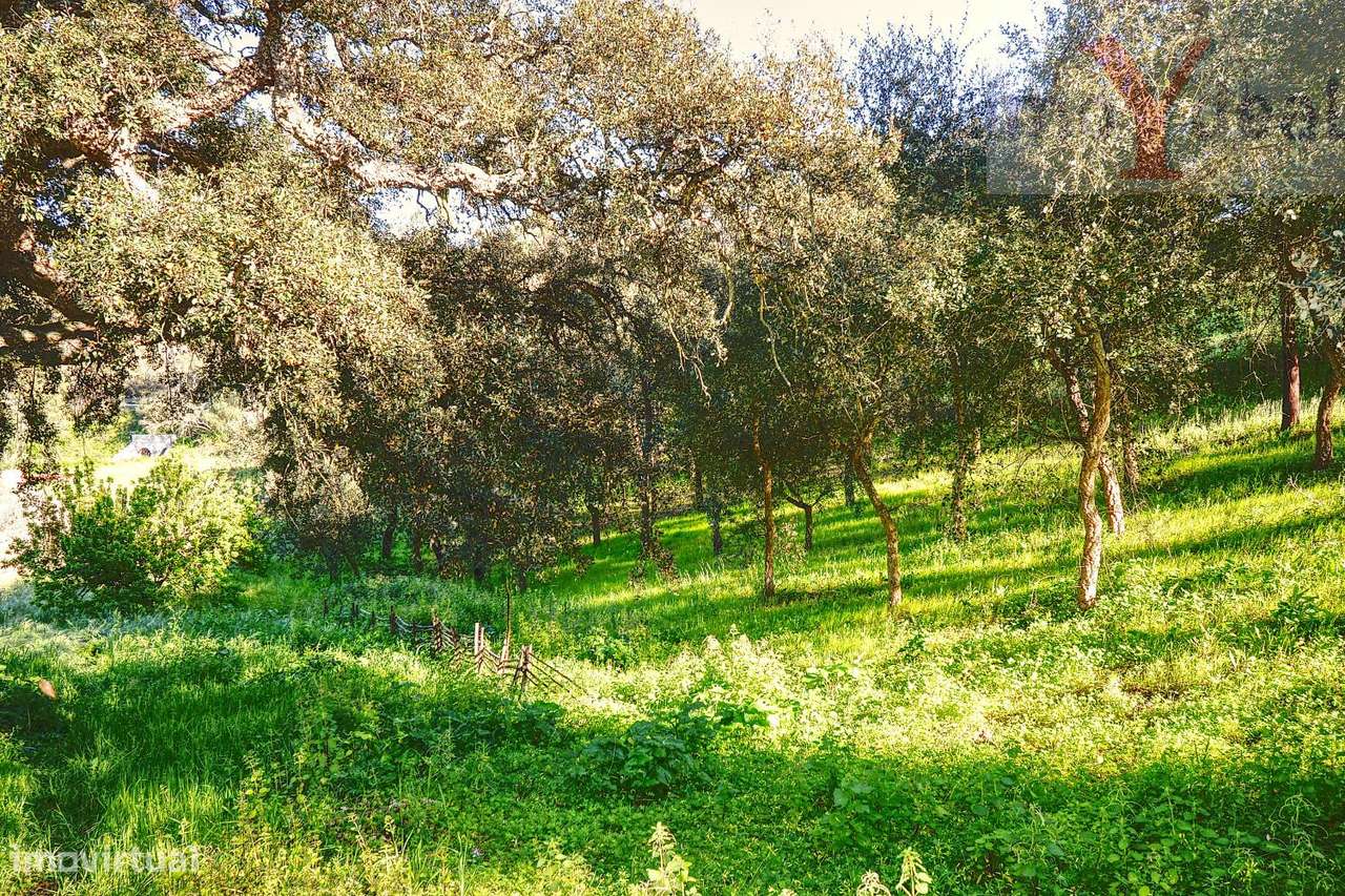 Quinta em Melides-17