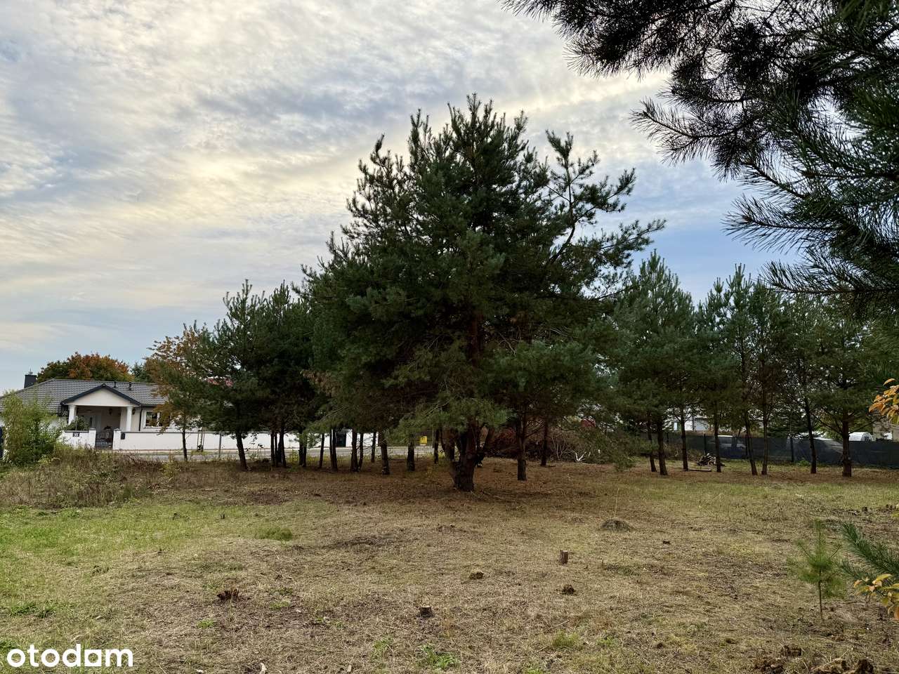 Działka w centrum Wieliszewa-8