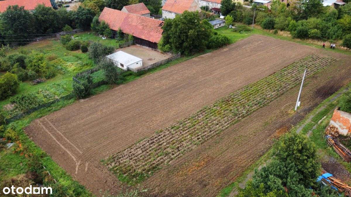 Działka budowlana 12 ar Brennik k/Złotoryi-5