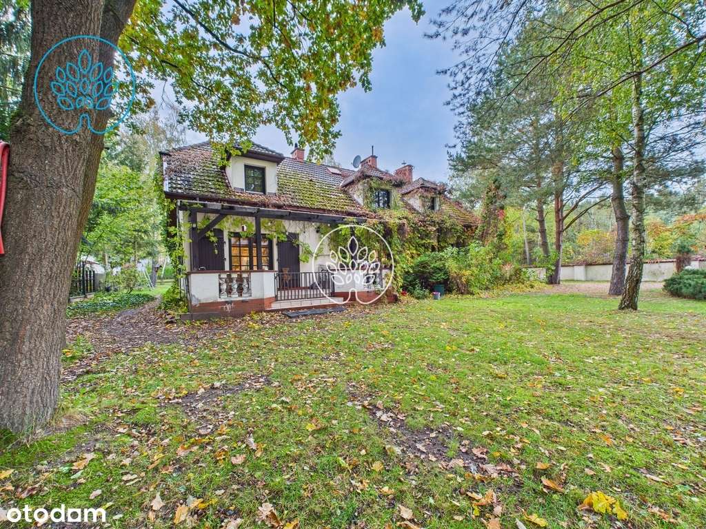 Dworek / Duża działka / Dodatkowy budynek - Pełny obrazek: 3/20