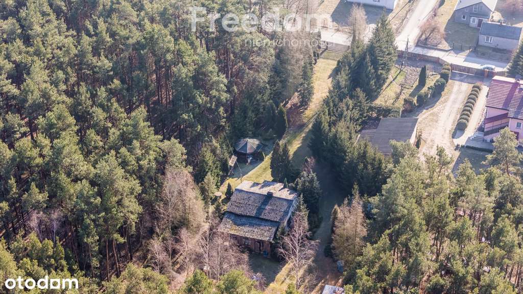 Dom do remontu na dużej działce - Pełny obrazek: 5/6