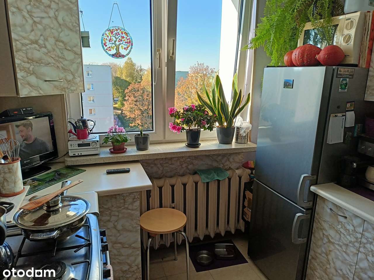 M3, Biała Podlaska, ul. T. Kościuszki 2-6 - Pełny obrazek: 5/9