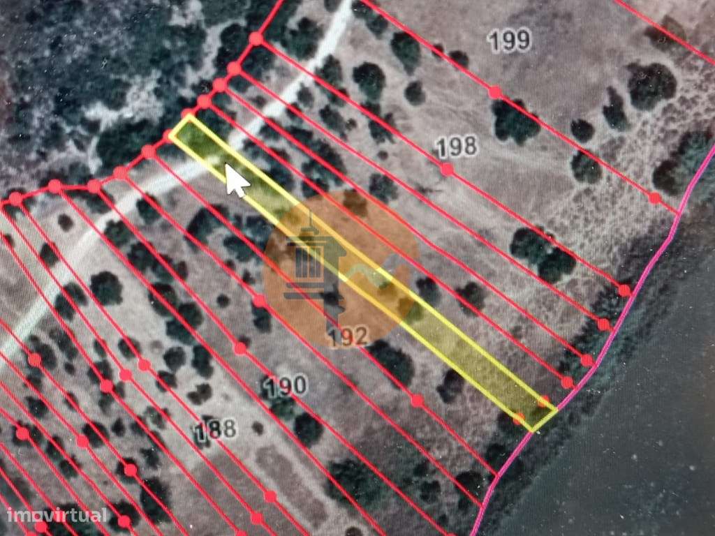 TERRENO RUSTICO COM 760 M2 JUNTO AO RIO GUADIANA - PONTAL - ALCOUTIM - Grande imagem: 2/24