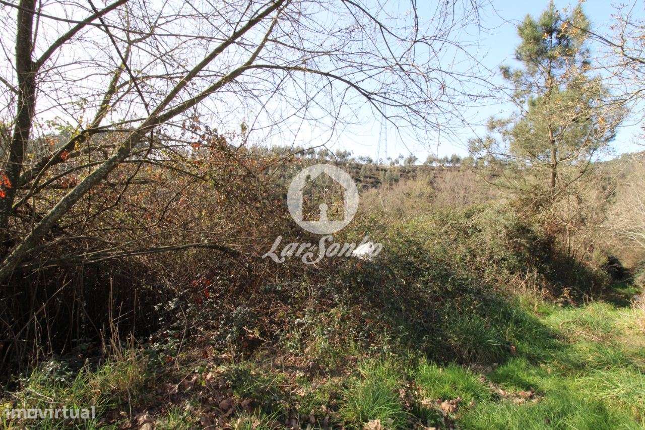 Terreno agrícola com 6.000m2 em Ribeirão - Vila Nova de Famalicão - Grande imagem: 3/4