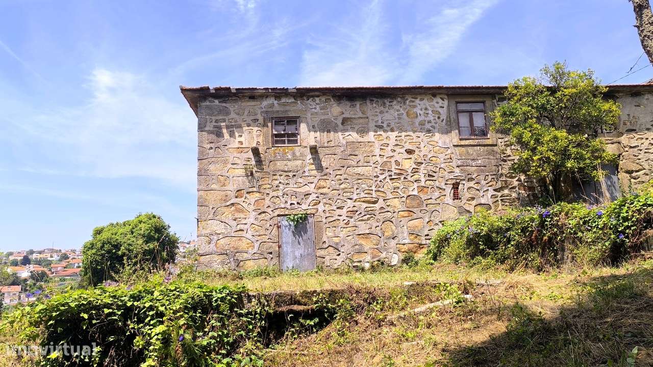 Quinta com 19000 m2 nas margens do Douro-5