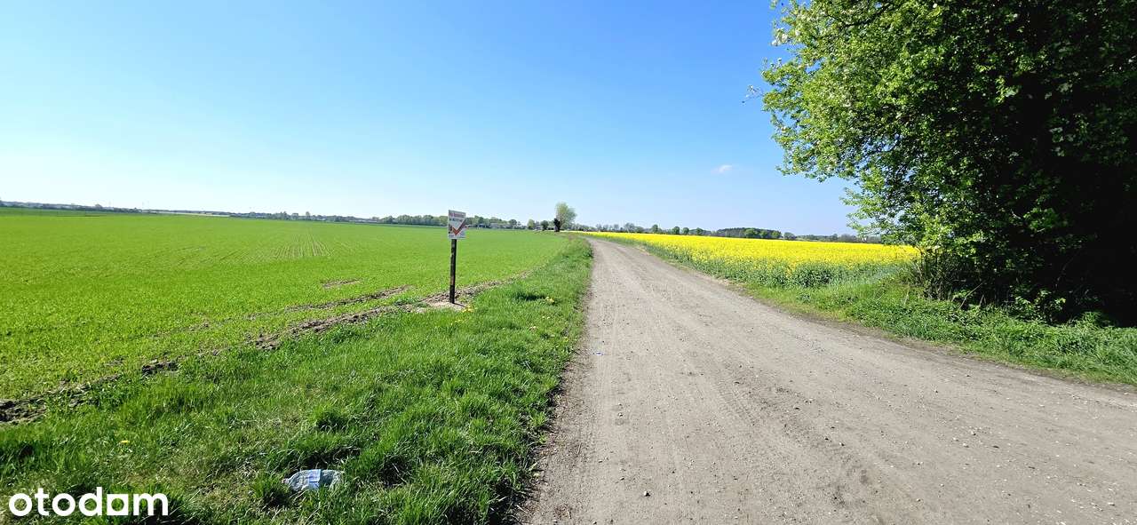 Działka 2244m2 , Kołata , Pobiedziska - Pełny obrazek: 4/13