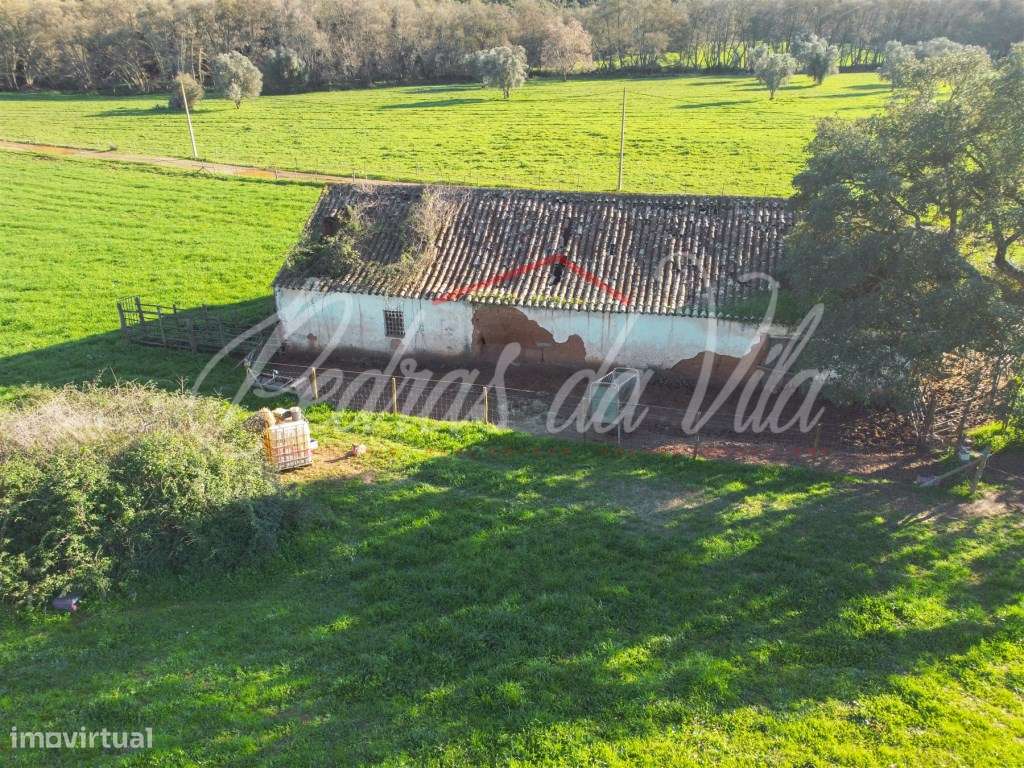 Monte Alentejano de 36ha com 3 ruinas - Pego das Pias - Odemira-10