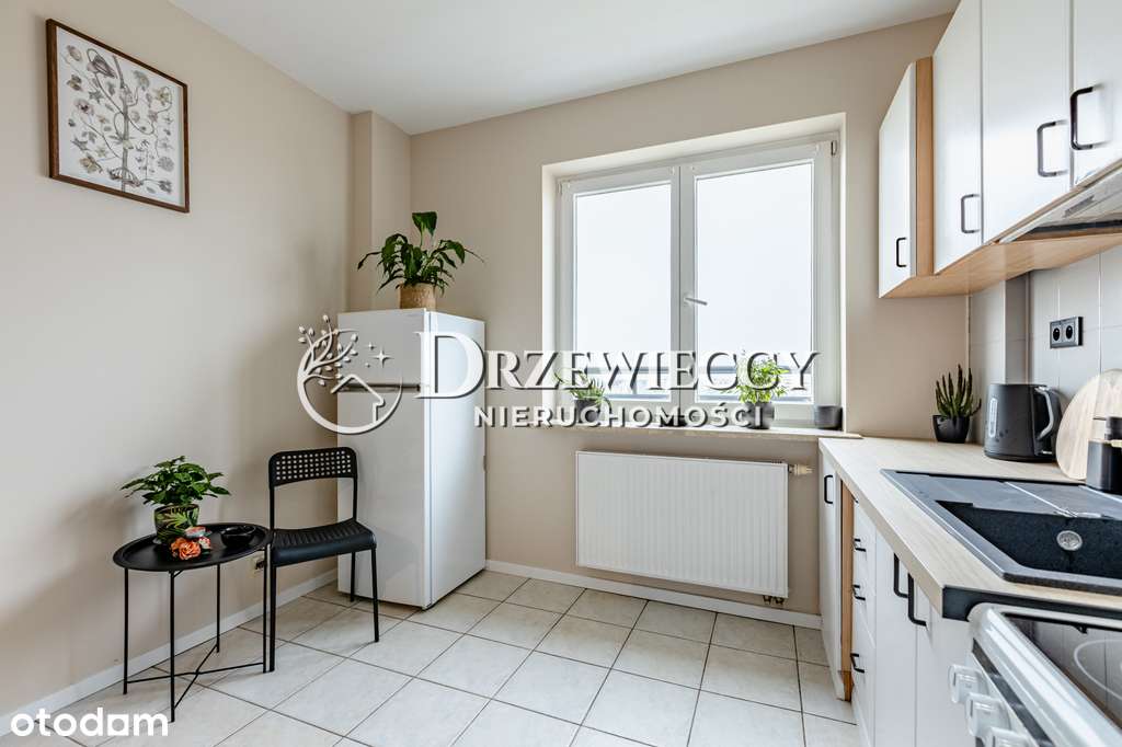 Studio niesamowity widok las – obok parku-10