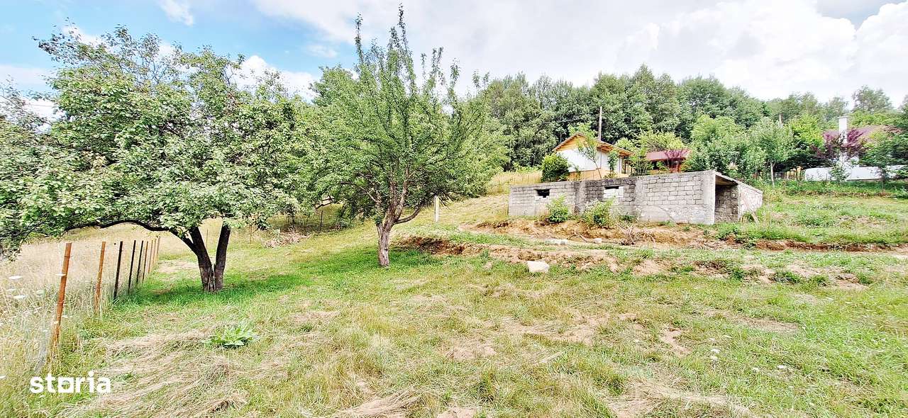 Bran- Predelut, 1000mp teren pentru casa de vacanta, pret 45 euro/mp - Imagine principală: 5/15