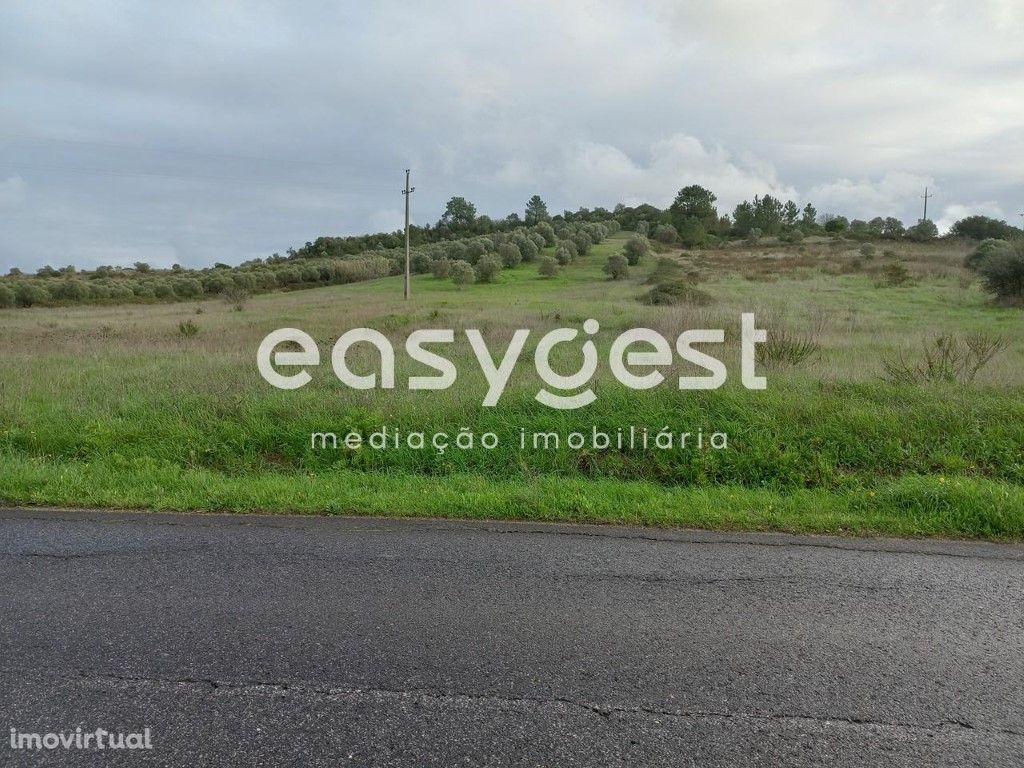 Terreno Rústico com 16160M2, bem localizado em Arneiro de...