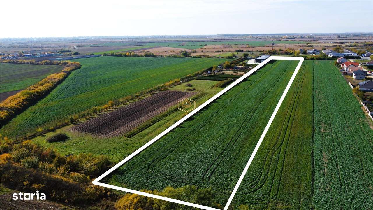 VIDEO | Servicii / Logistic | Teren 14.560 mp Lazuri | Drum Principal-4