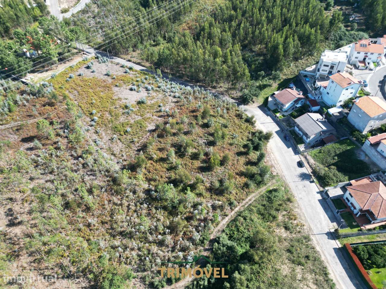 Terreno para construção - Nogueira do Cravo - Grande imagem: 2/14