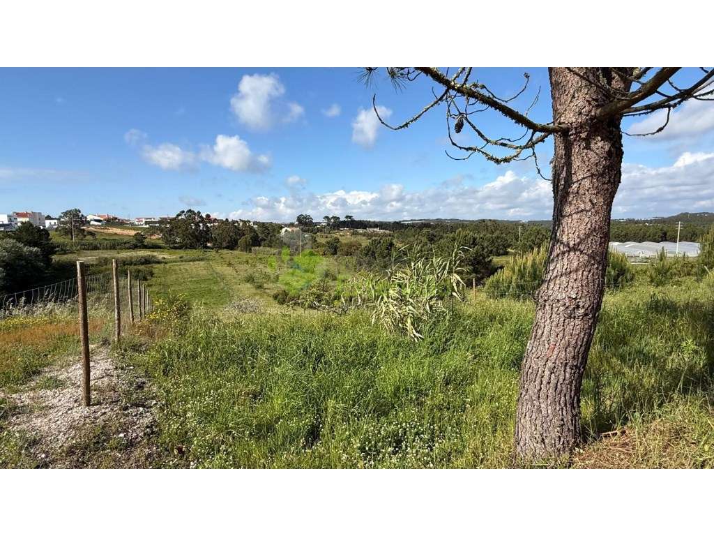 Terreno parcialmente urbano de 1.920 m2, perto de Torres Vedras-11