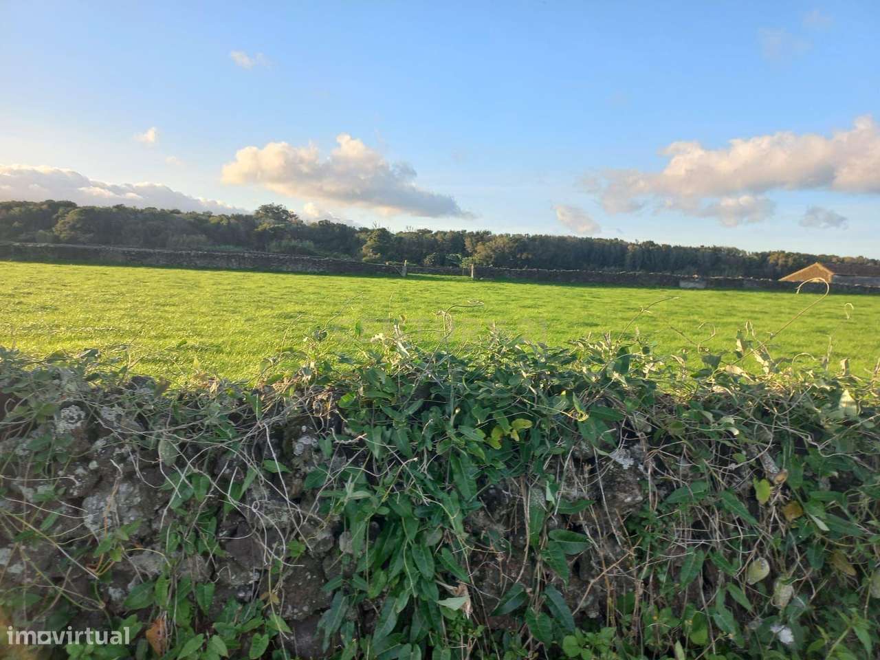 Terreno Agrícola com 13.000 m2 nas Calhetas, Ribeira Grande - Grande imagem: 5/8
