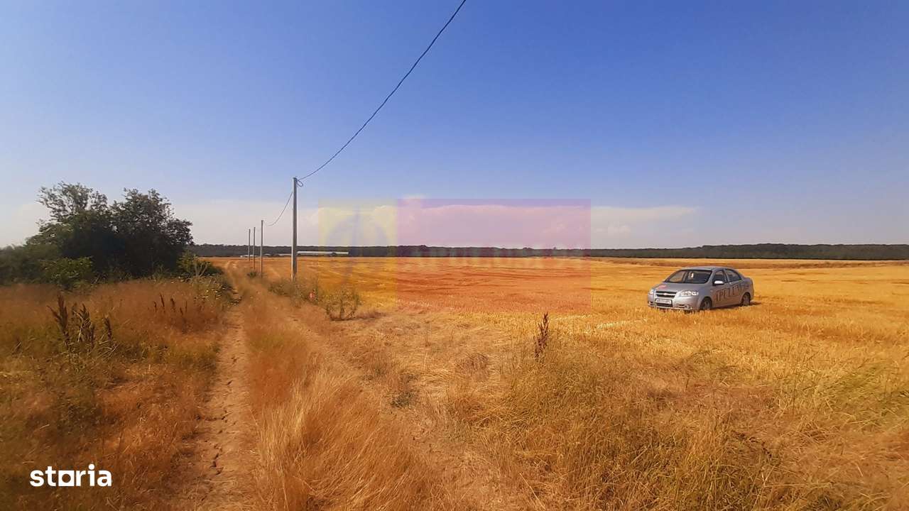 Teren pentru casă/case în Brănești pe strada Toporași - Imagine principală: 1/20