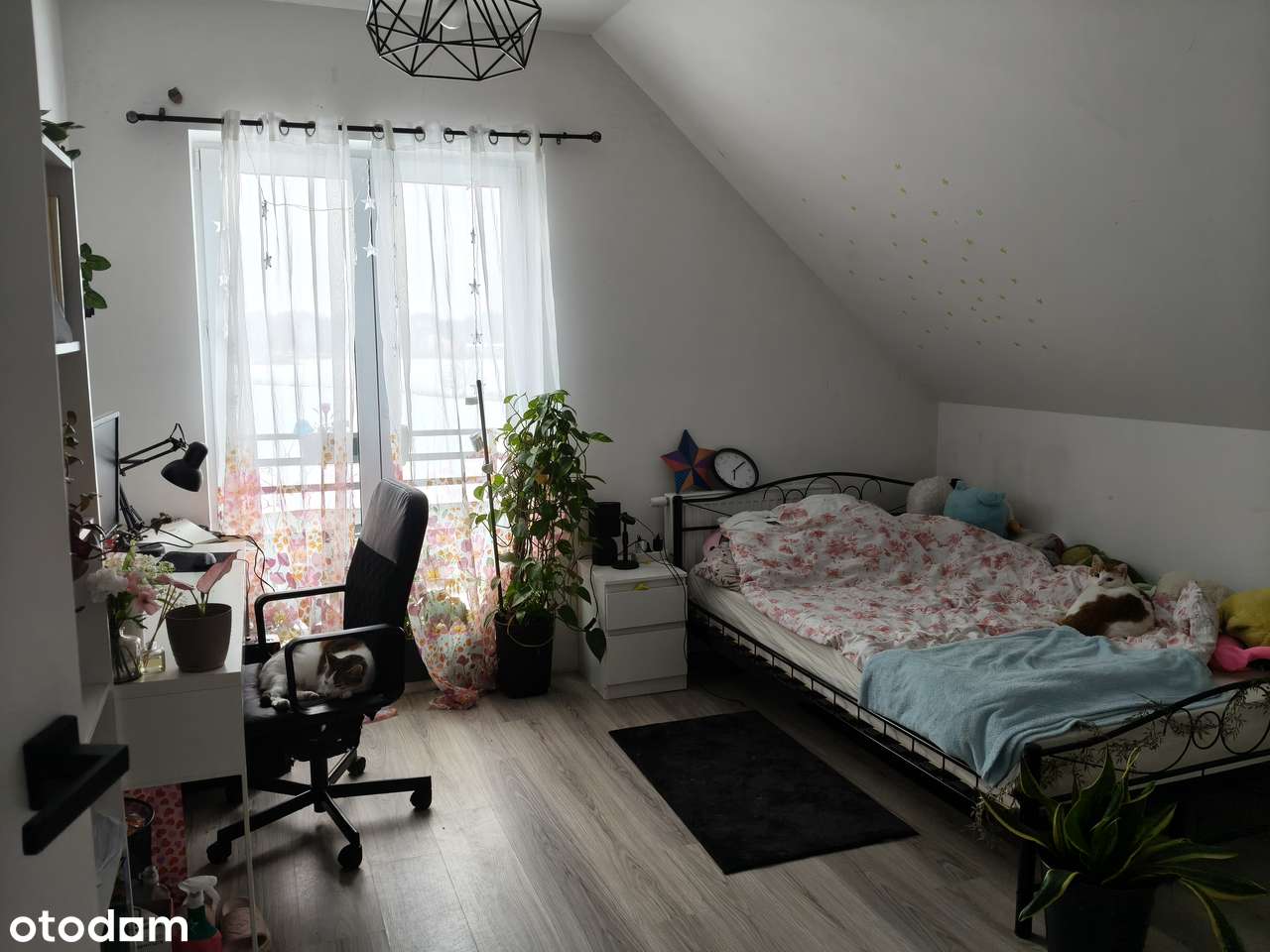 Dom wolnostojący 150m2 | działka 1200m2 | Franciszków-13